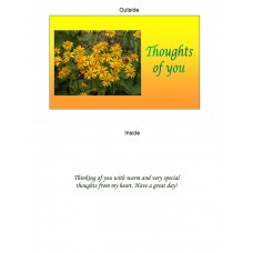 Thinking of You greeting card